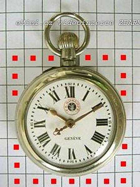 Kapesní hodinky zn.Geneva F.E.Roskopf