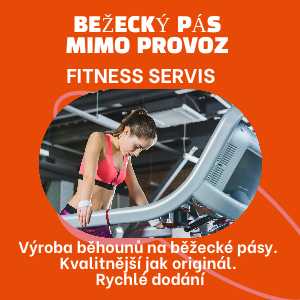 Fitness servis